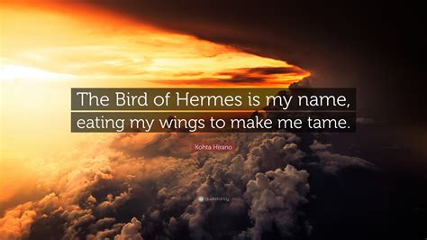 the bird of hermes is my name eating my wings.